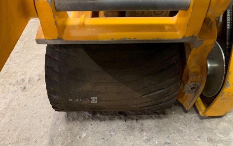 KUNZLE & TASIN SCORPION  PON010963