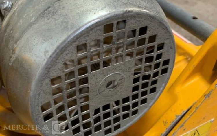 KUNZLE & TASIN SCORPION  PON010963