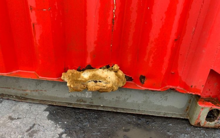 CONTAINEX LC20″  60552743