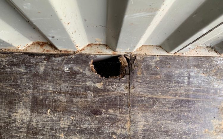 CONTAINEX LC20″  60552743