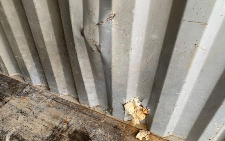 CONTAINEX LC20″  60552743