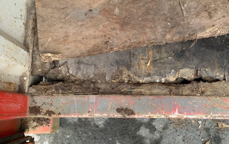 CONTAINEX LC20″  60550214