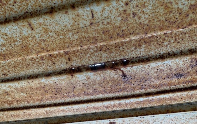 CONTAINEX LC20″  60550214