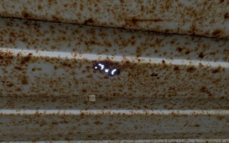 CONTAINEX LC20″  60550214