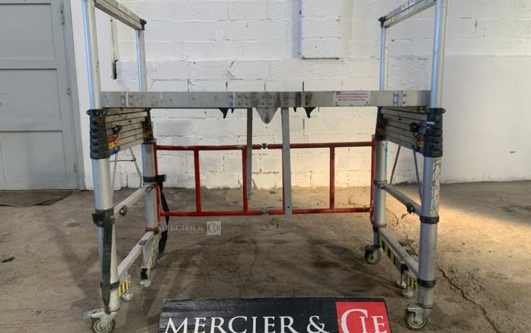 DUARIB TELETOWER  100MAM9