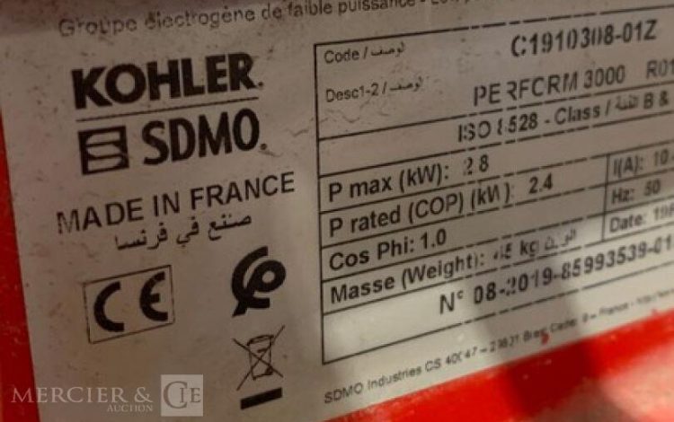 SDMO PERFORM 3000  95MAM92025