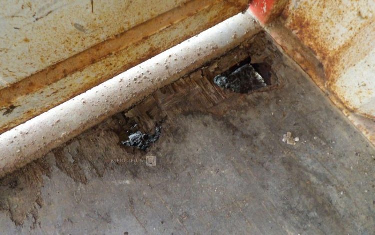 CONTAINEX LC20″  60550309