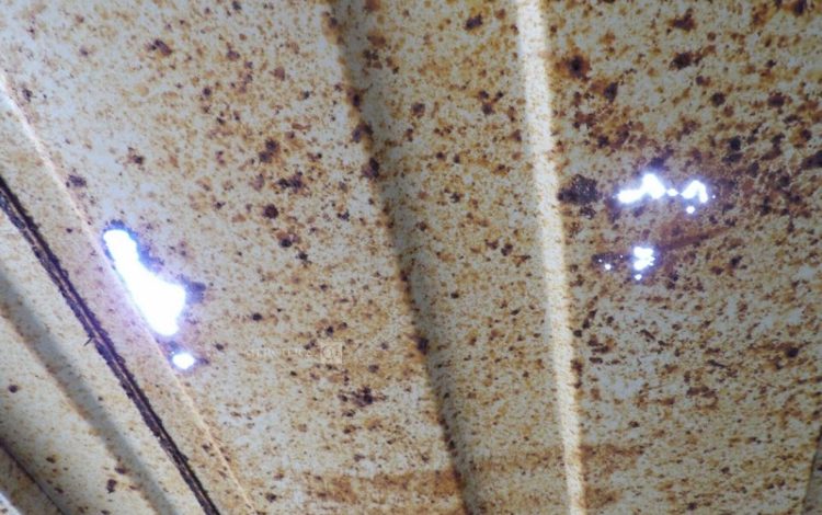 CONTAINEX LC20″  60550309