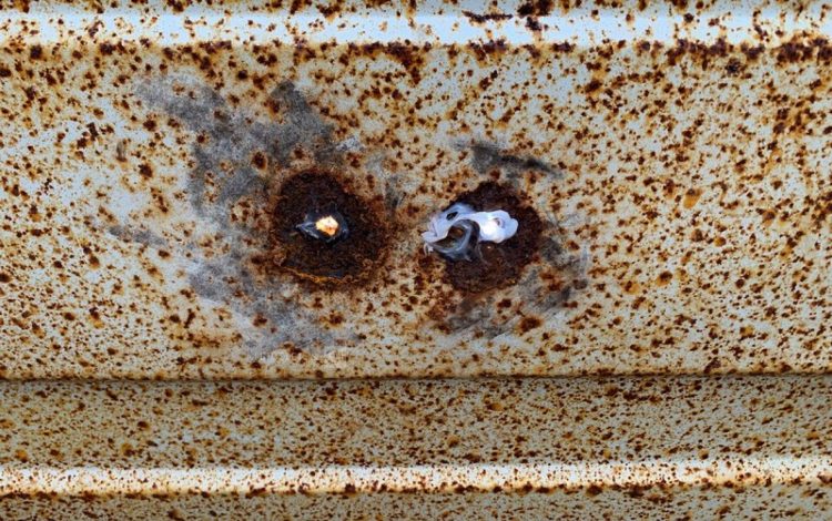 CONTAINEX LC20″  60550293