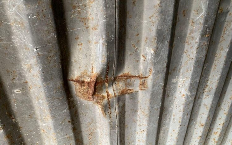 CONTAINEX LC20″  60550863