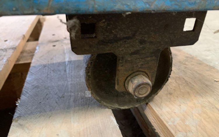 SAF NERTINOX 250P 0389-0304  TIG748207