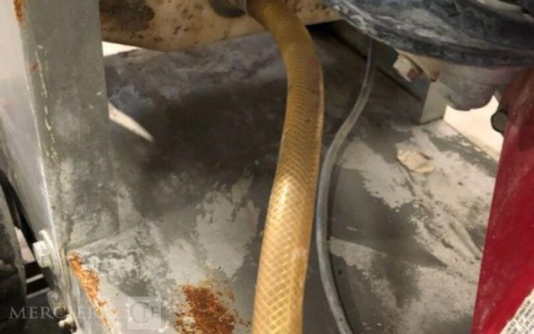 HUSQVARNA FS400LV  53MAM92025