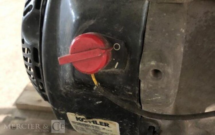 SDMO PERFORM 6500  GRO010856