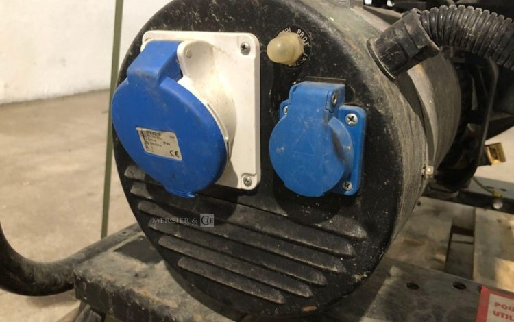 SDMO PERFORM 6500  GRO010856