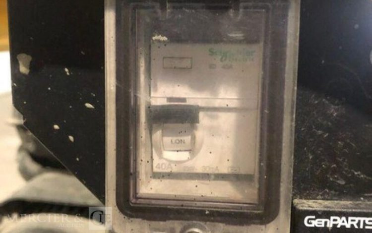 SDMO PERFORM 6500  GRO010856