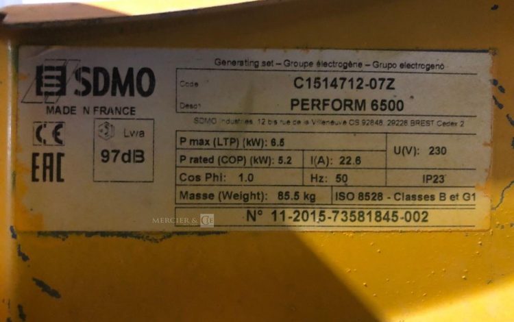 SDMO PERFORM 6500  GRO010856