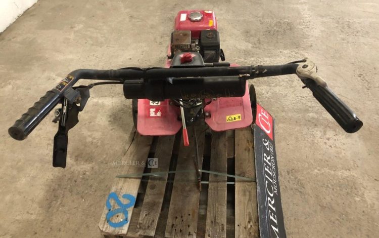 HONDA FL DLX 500  MOT010604