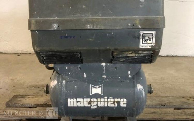 MAUGUIERE MXF  COM010199