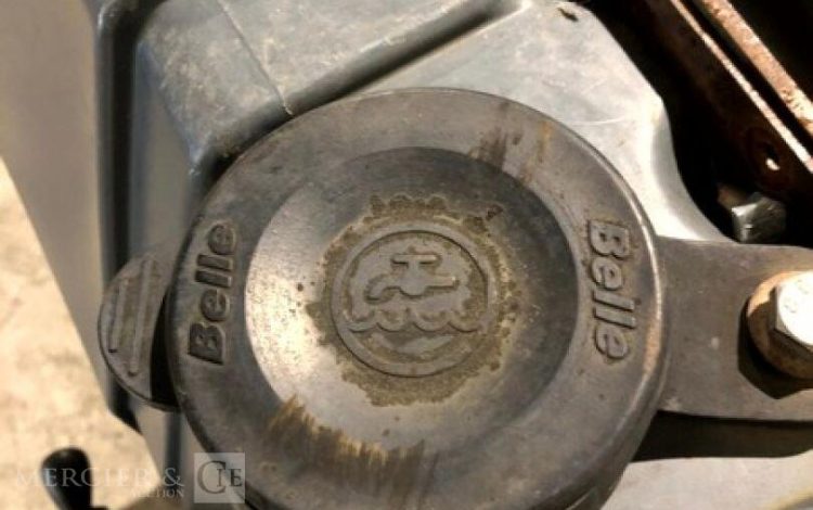 BELLE GROUP   ROU010649