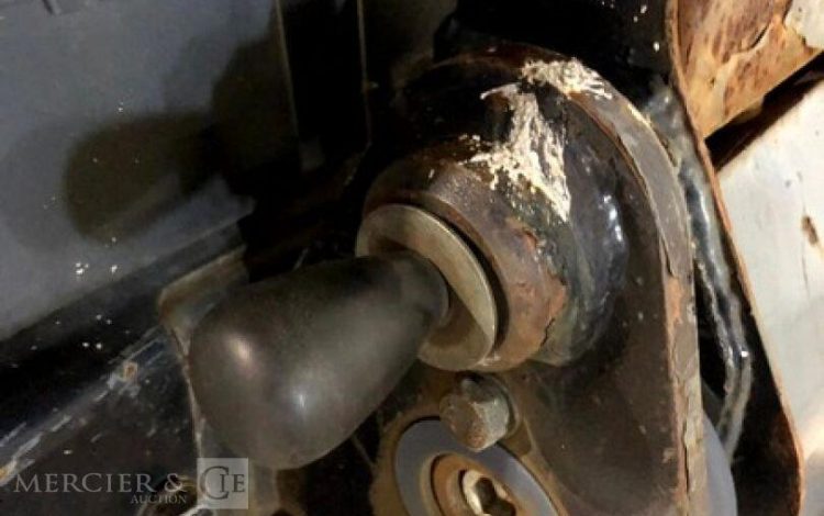 BELLE GROUP   ROU010649