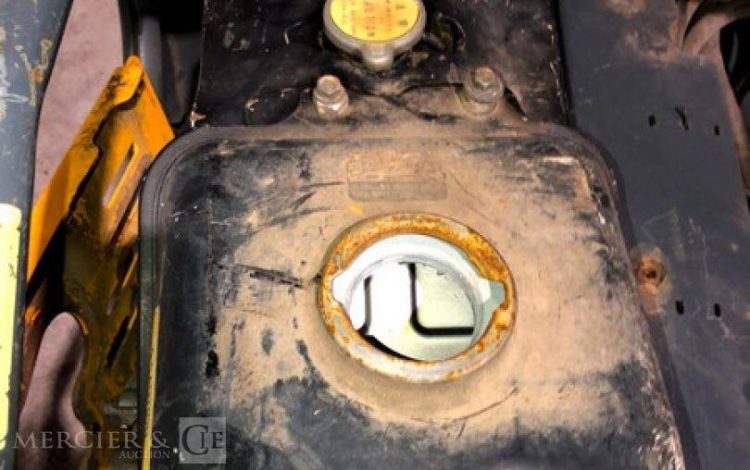 BELLE GROUP   ROU010649