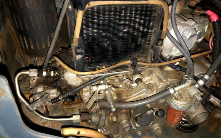 BELLE GROUP   ROU010649