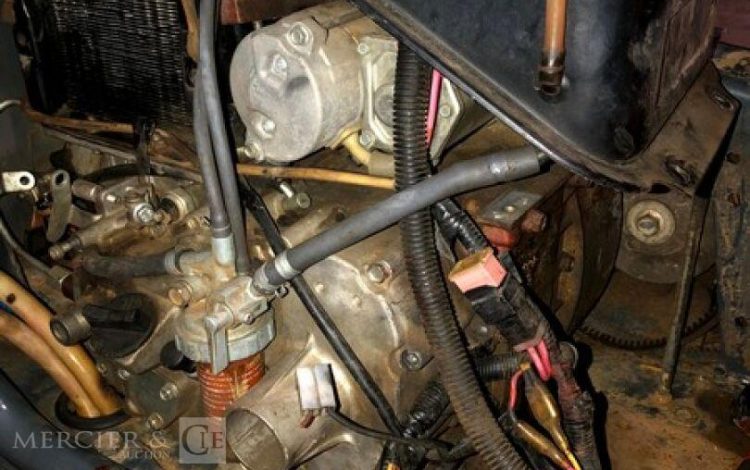 BELLE GROUP   ROU010649