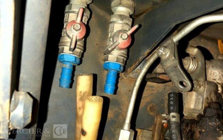 BELLE GROUP   ROU010649