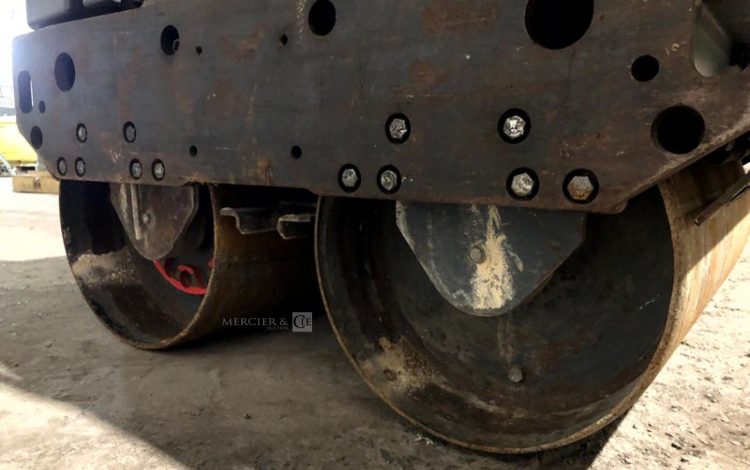 BELLE GROUP   ROU010649