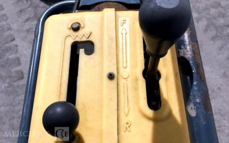 BELLE GROUP   ROU010649