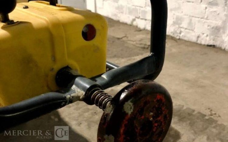 BELLE GROUP   ROU010649