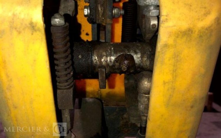 BELLE GROUP   ROU010649