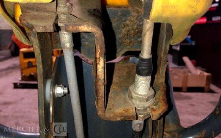 BELLE GROUP   ROU010649