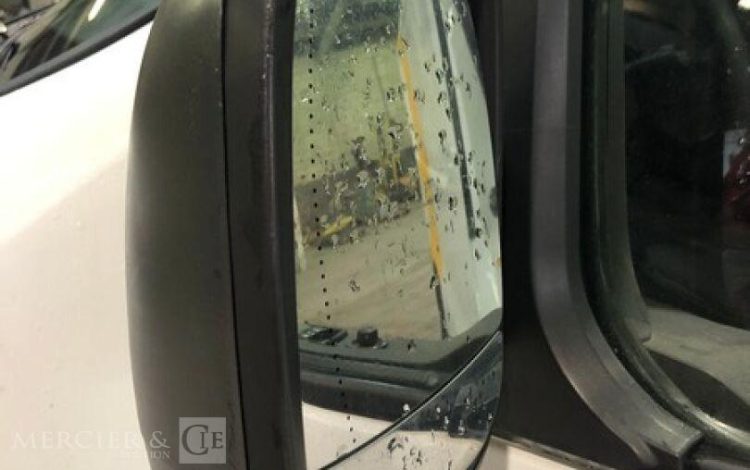 RENAULT TRAFIC  FR-824-RH