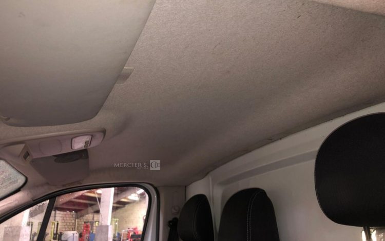 RENAULT TRAFIC  FR-824-RH