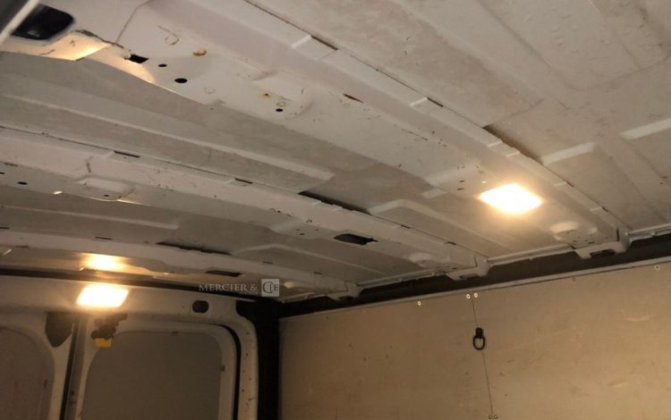 RENAULT TRAFIC  FR-824-RH