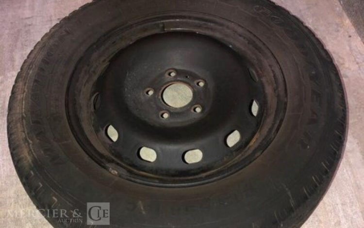 RENAULT TRAFIC  FR-824-RH