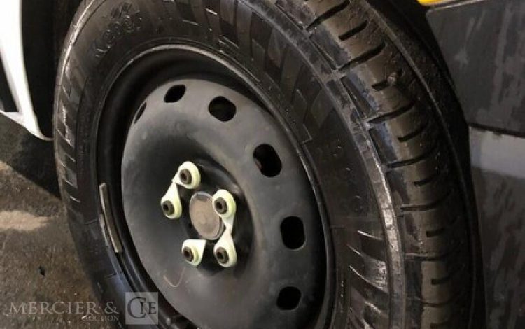 RENAULT TRAFIC  FR-824-RH