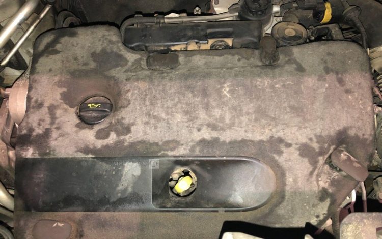 PEUGEOT EXPERT  EJ-186-PG