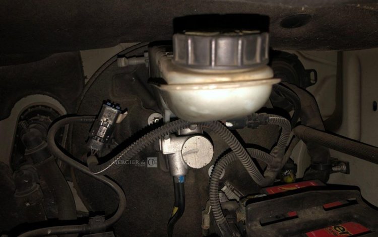 PEUGEOT EXPERT  EJ-186-PG