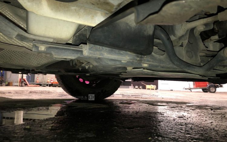 PEUGEOT EXPERT  EJ-186-PG