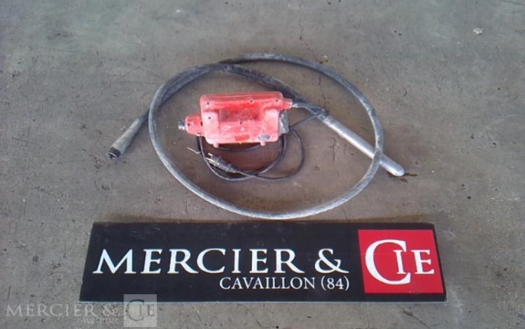 GENERIQUE AIGUILLE VIBRANTE ELECTRIQUE ROUGE AIG745551