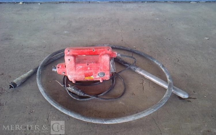 GENERIQUE AIGUILLE VIBRANTE ELECTRIQUE ROUGE AIG745551