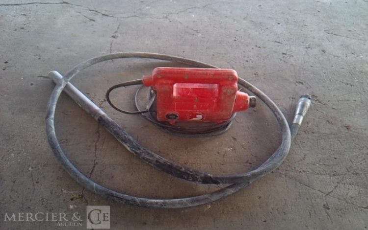 GENERIQUE AIGUILLE VIBRANTE ELECTRIQUE ROUGE AIG745551