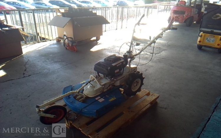 GENERIQUE DEBROUSSAILLEUSE 6CV BLANC DEB010004