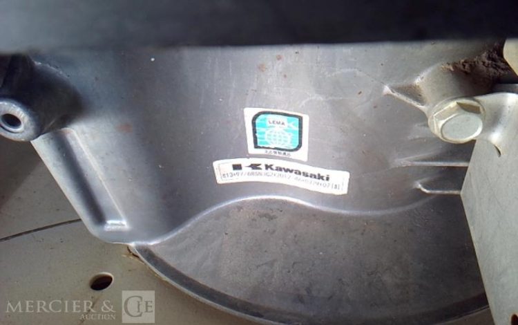 GENERIQUE DEBROUSSAILLEUSE 6CV BLANC DEB010004