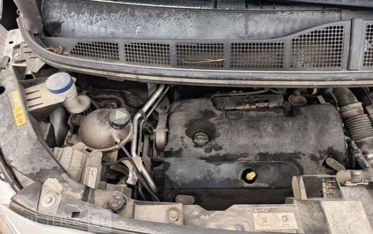 PEUGEOT EXPERT  EJ-186-PG