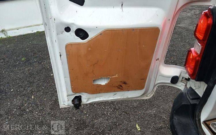 PEUGEOT EXPERT  EJ-186-PG