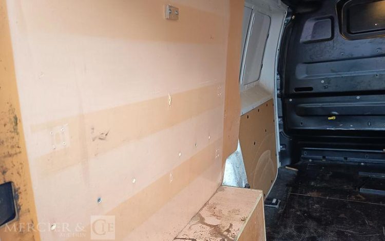 PEUGEOT EXPERT  EJ-186-PG