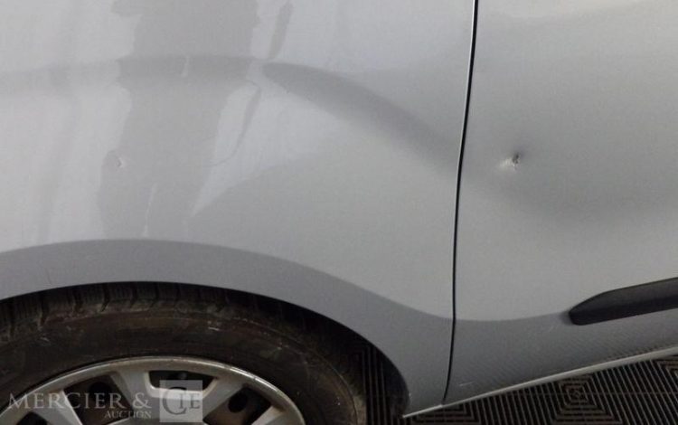 FIAT DOBLO MAXI 105 MULTIJET 2 GRIS EN-208-WJ